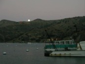 Catalina2003 070.jpg: 2003/10/02 - Kirk and Patti Visit San Diego - 2003